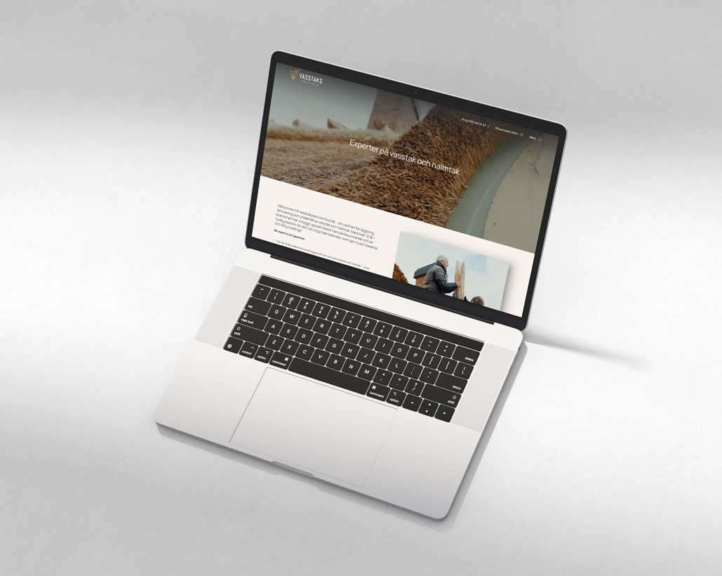 Bravissimo Agency - Hemsida, Vasstaksservice Syd